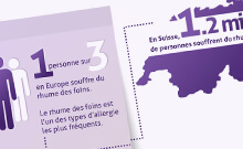 Rhume des foins : fiche d’informations